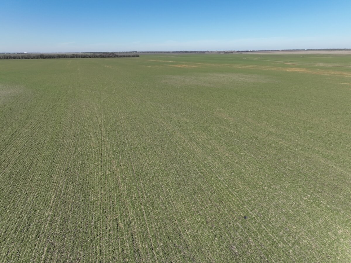 Tillable Farm Ground Clearwater, Kansas