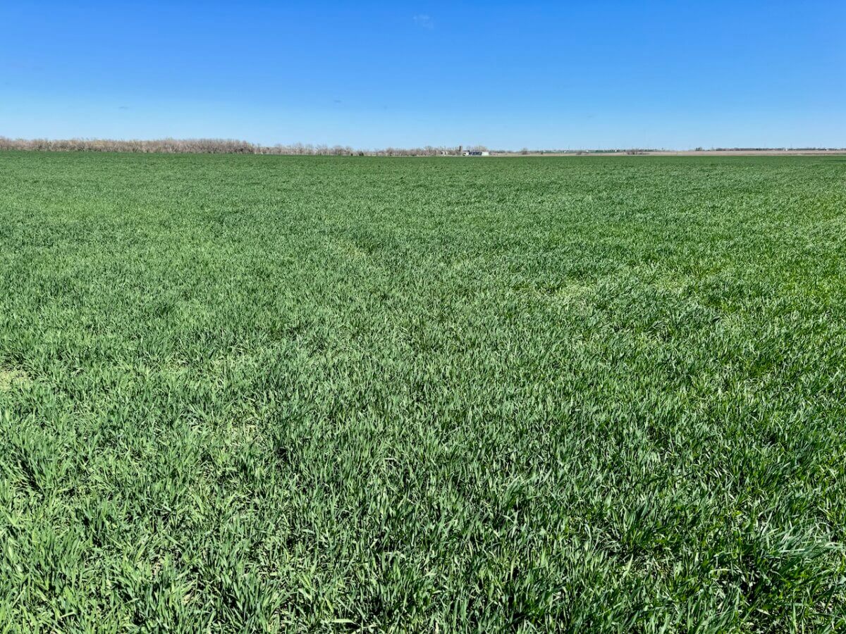 Land For Sale Near Newton, Halstead, & Sedgwick, Harvey County, Kansas