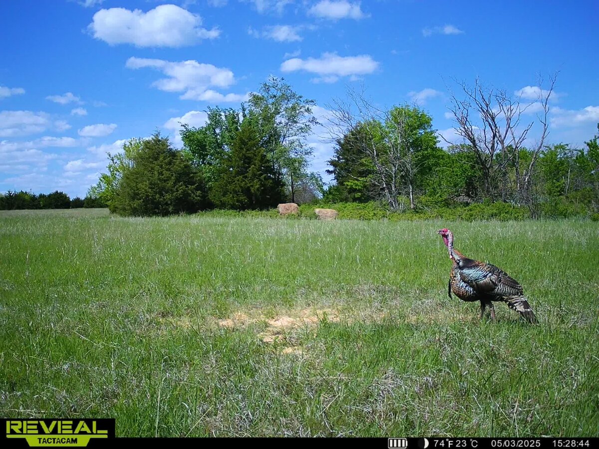 10198 SE Teter Rd., Leon Kansas