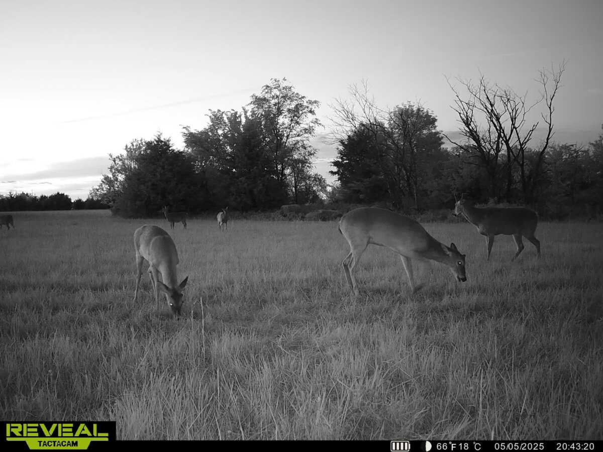 10198 SE Teter Rd., Leon Kansas