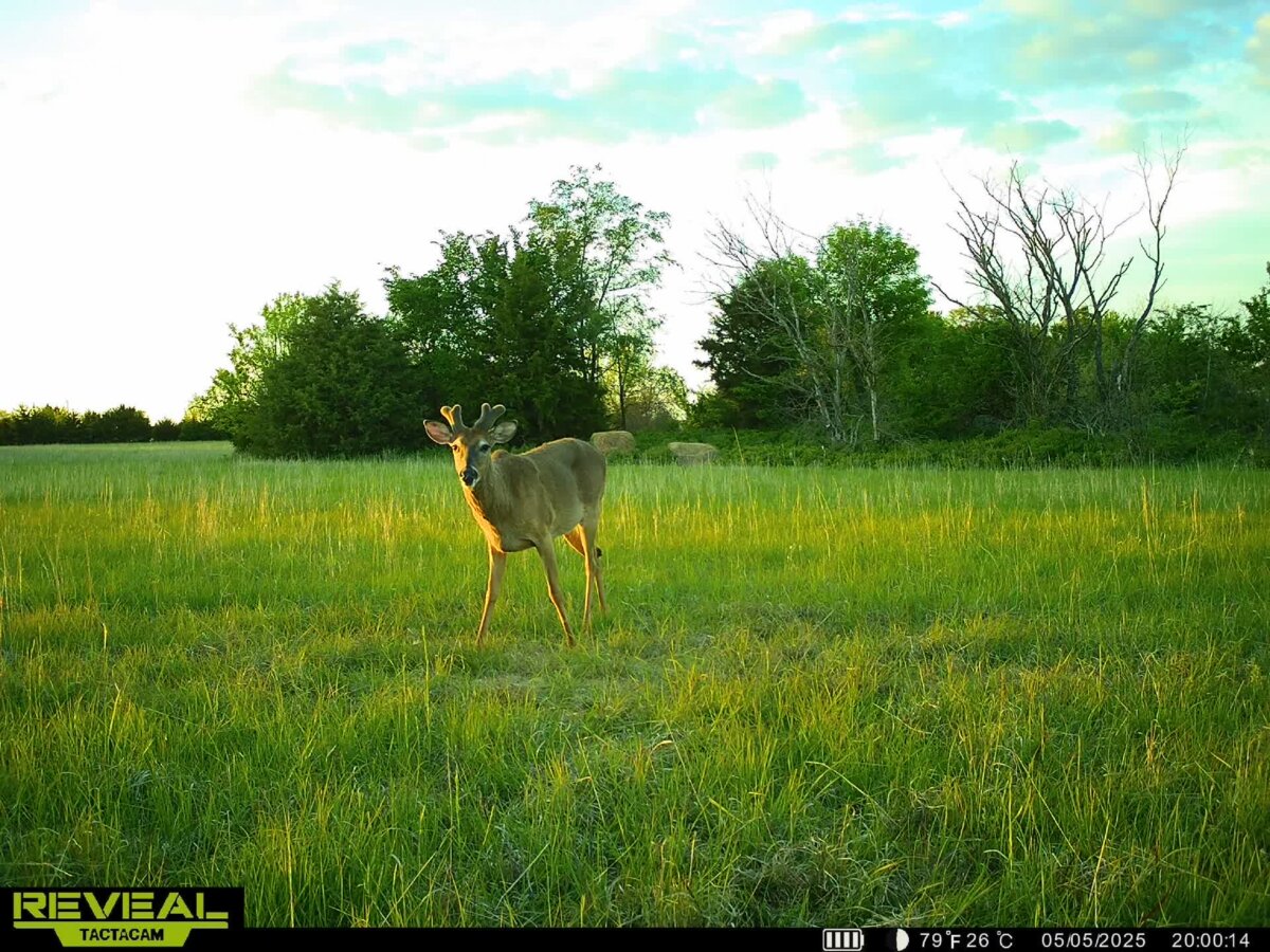 10198 SE Teter Rd., Leon Kansas