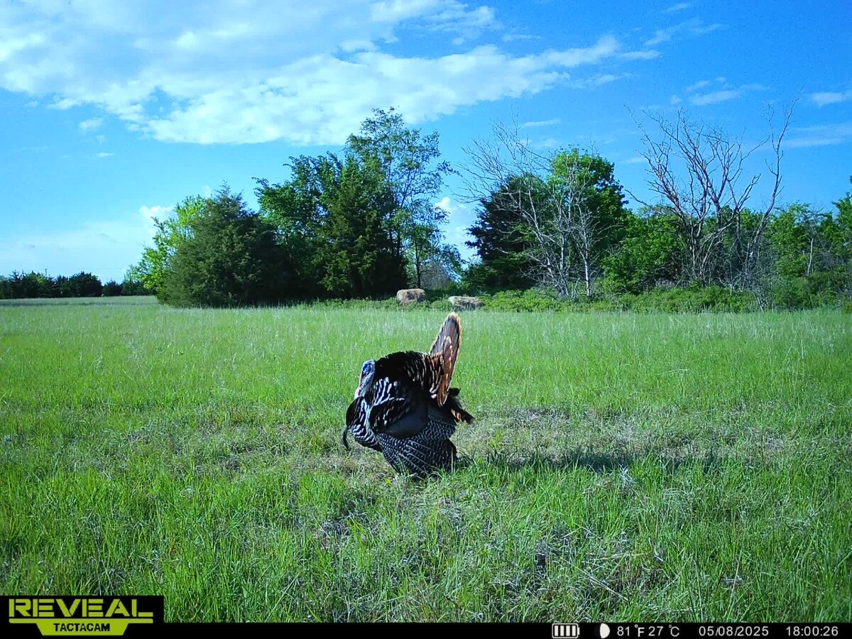10198 SE Teter Rd., Leon Kansas