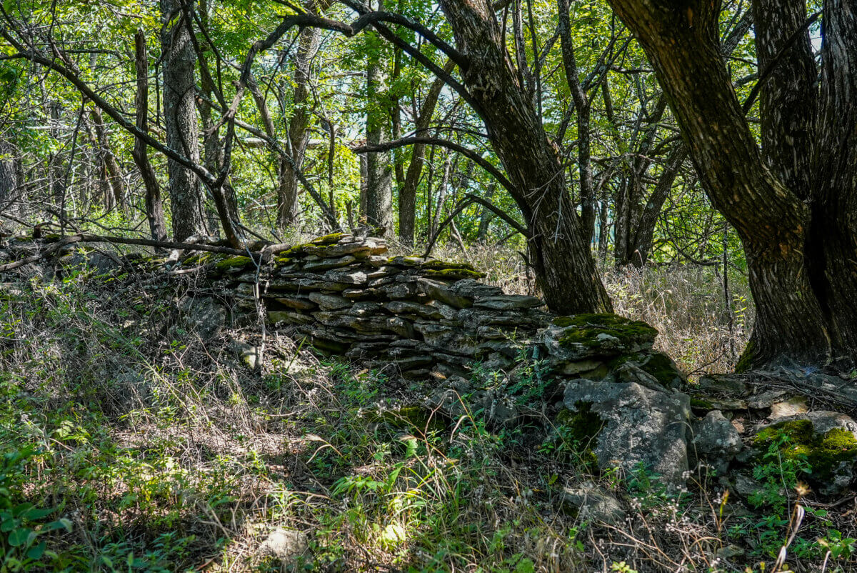 Hunting land for sale in Southeast Kansas