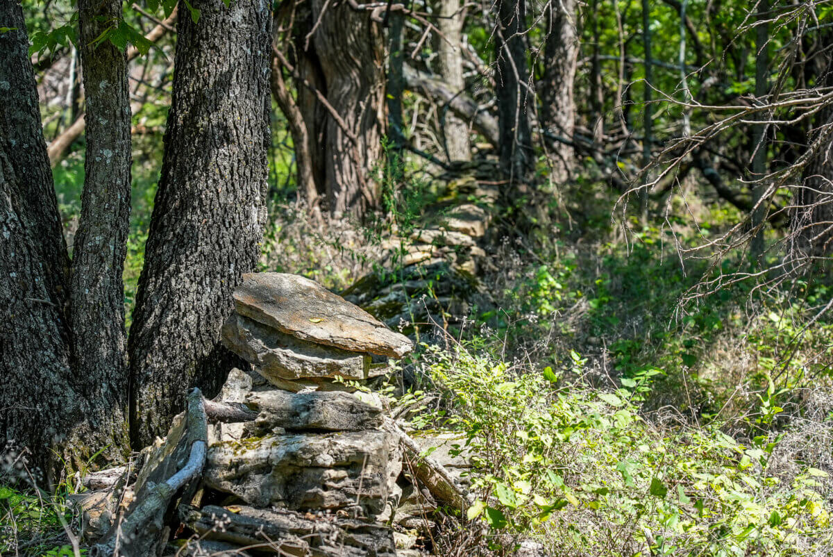 Hunting land for sale in Southeast Kansas