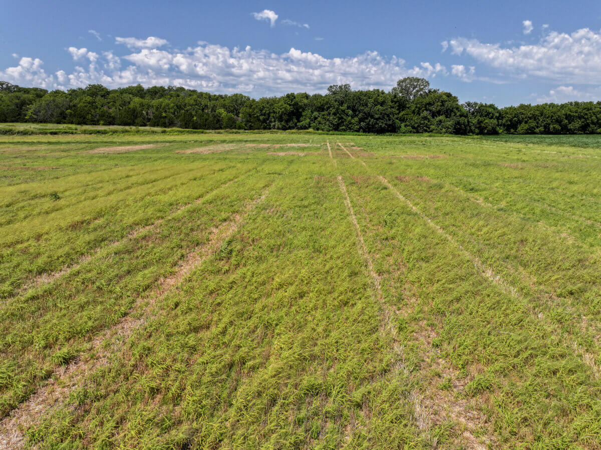 Hunting land for sale in Kansas