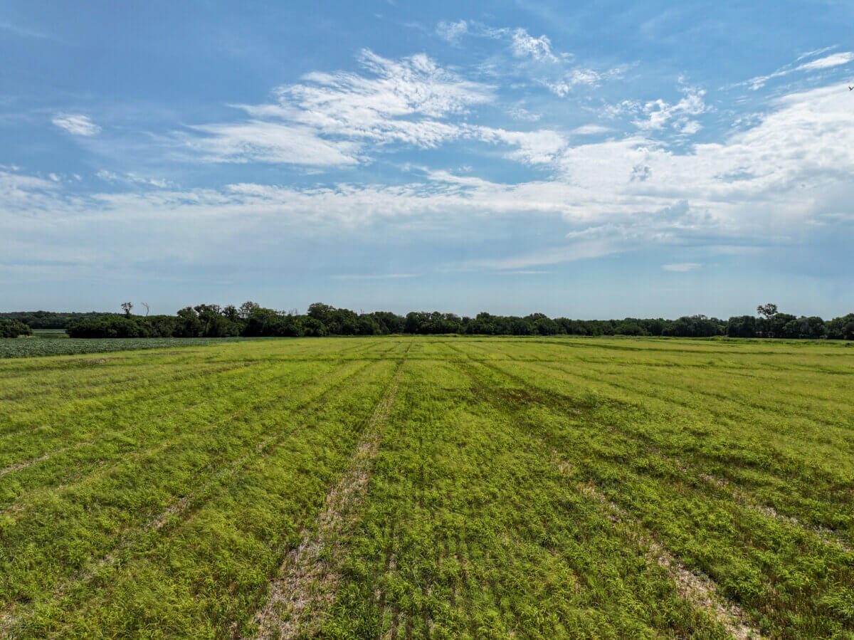 Hunting land for sale in Kansas
