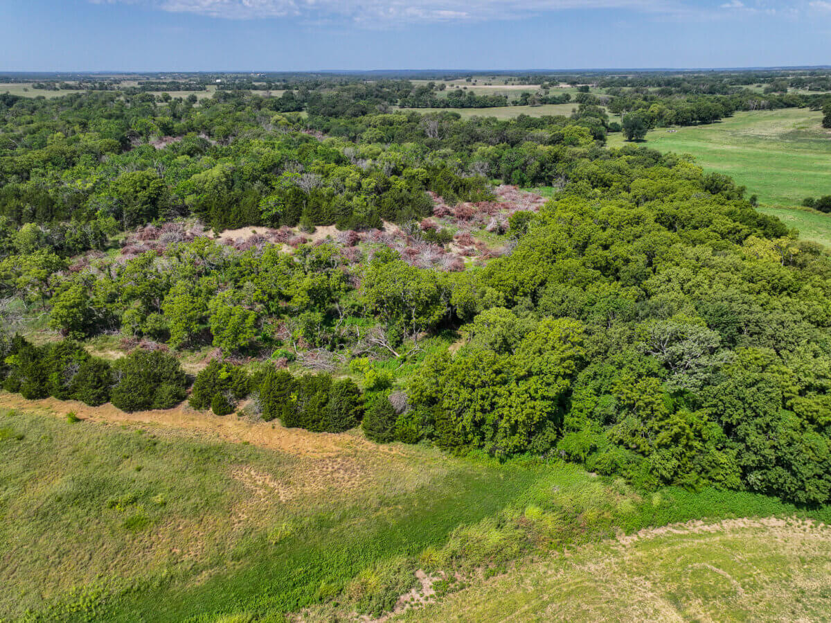 Hunting land for sale in Kansas