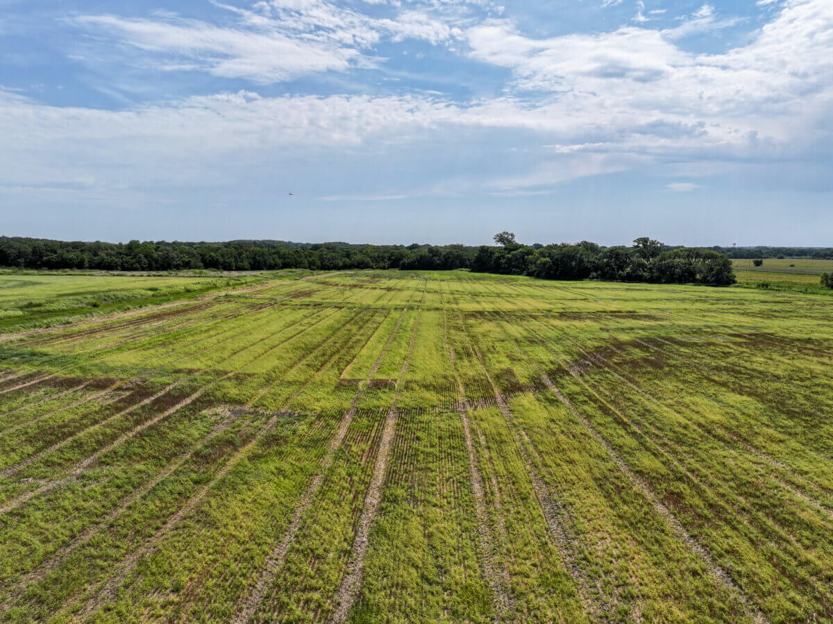 Hunting land for sale in Kansas