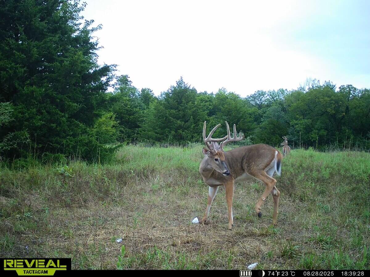 Hunting land for sale in Kansas