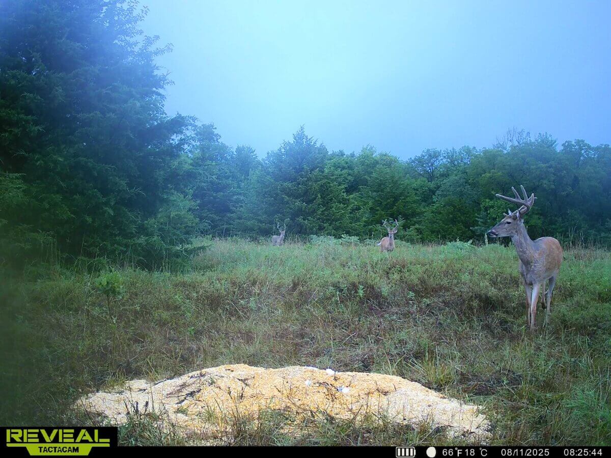 Hunting land for sale in Kansas