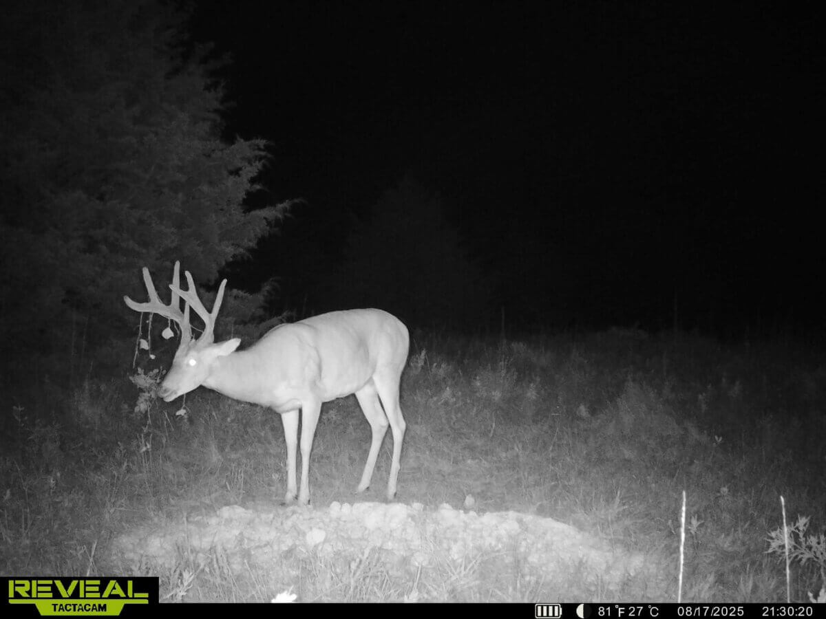 Hunting land for sale in Kansas