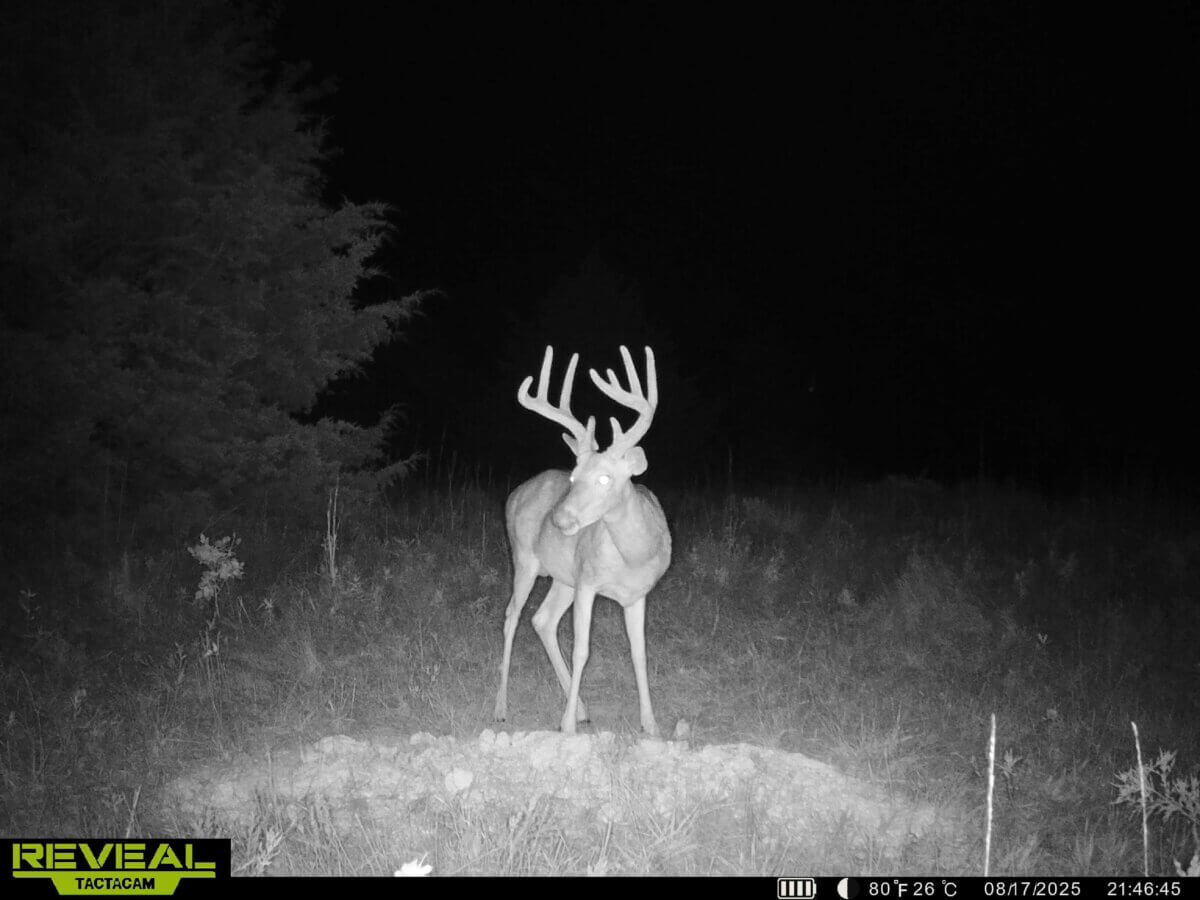 Hunting land for sale in Kansas