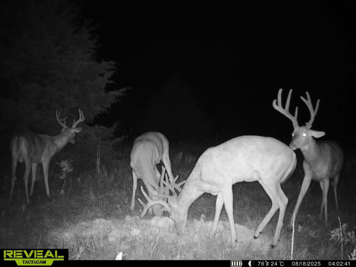 Hunting land for sale in Kansas