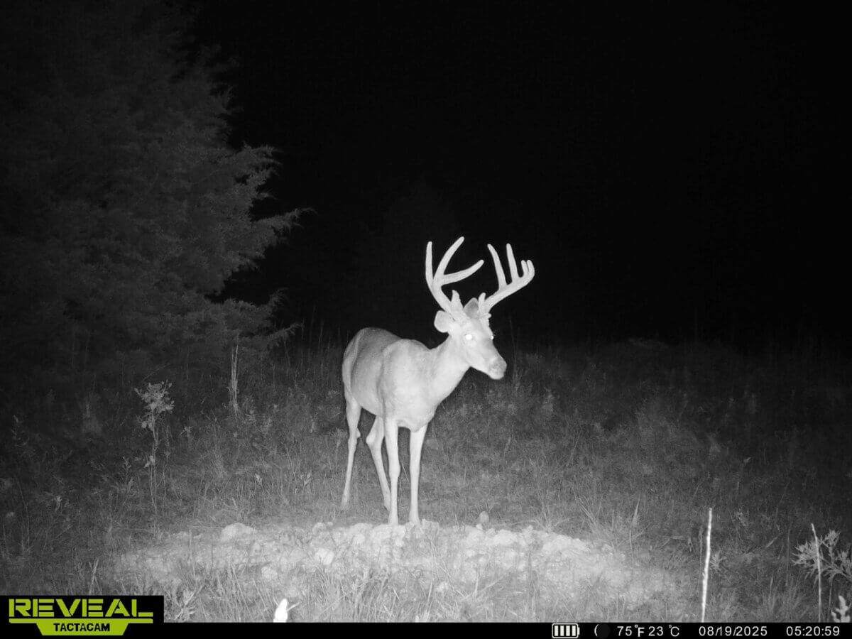 Hunting land for sale in Kansas