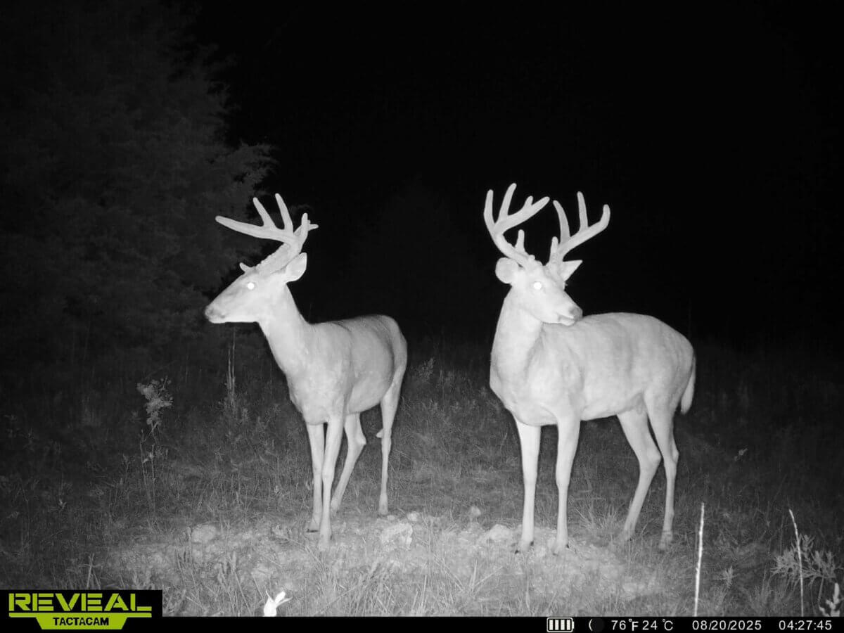 Hunting land for sale in Kansas