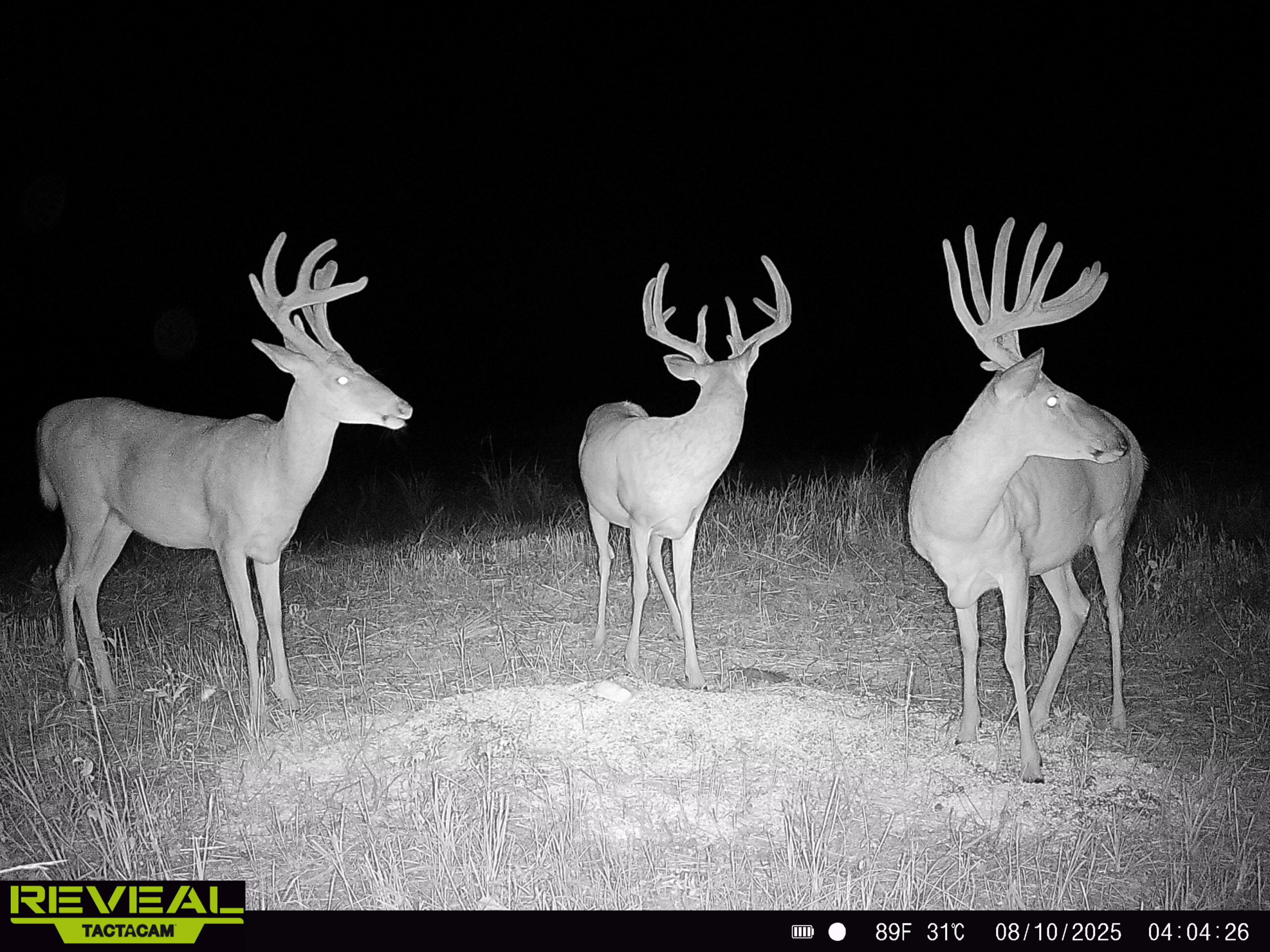 Hunting land for sale in Kansas