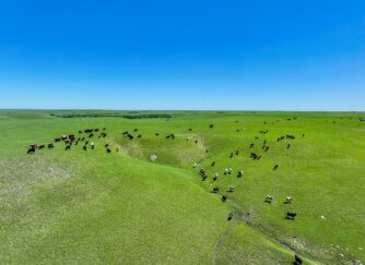 Kansas Flint Hills Ranch For Sale Chase County - Sundgren Realty