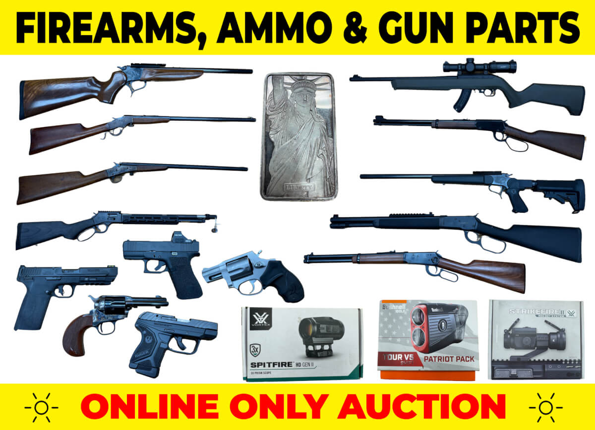 Gun auction