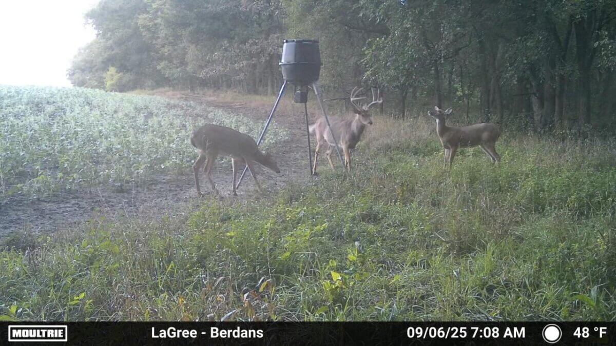 Elk County Kansas Land For Sale - Sundgren Realty