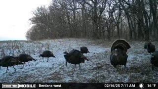 Elk County Kansas Land For Sale - Sundgren Realty