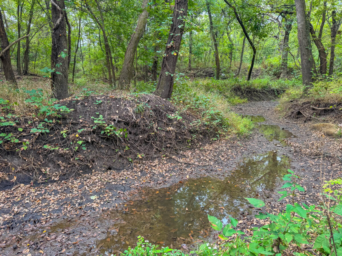 10 Acres Walnut River Frontage - Augusta Kansas - Land For Sale