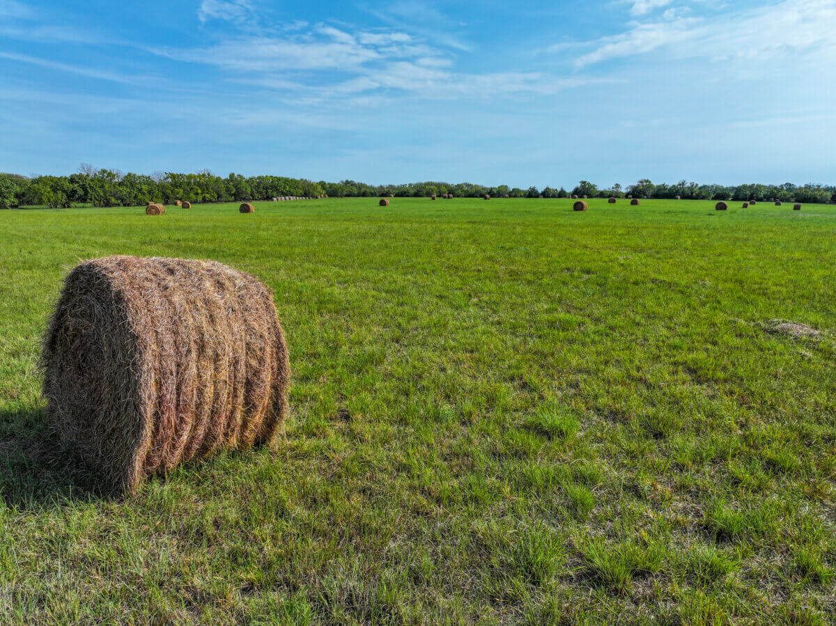 Greenwood County Kansas Land For Sale - Sundgren Realty & Auction