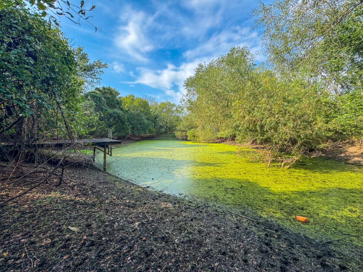 Greenwood County Kansas Land For Sale - Sundgren Realty & Auction