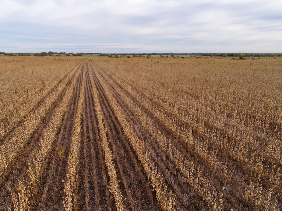 Sedgwick County Kansas Land For Sale